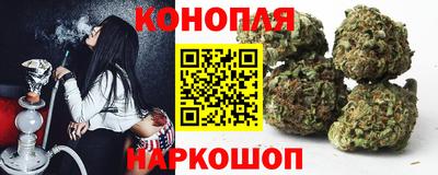 jwh Моздок